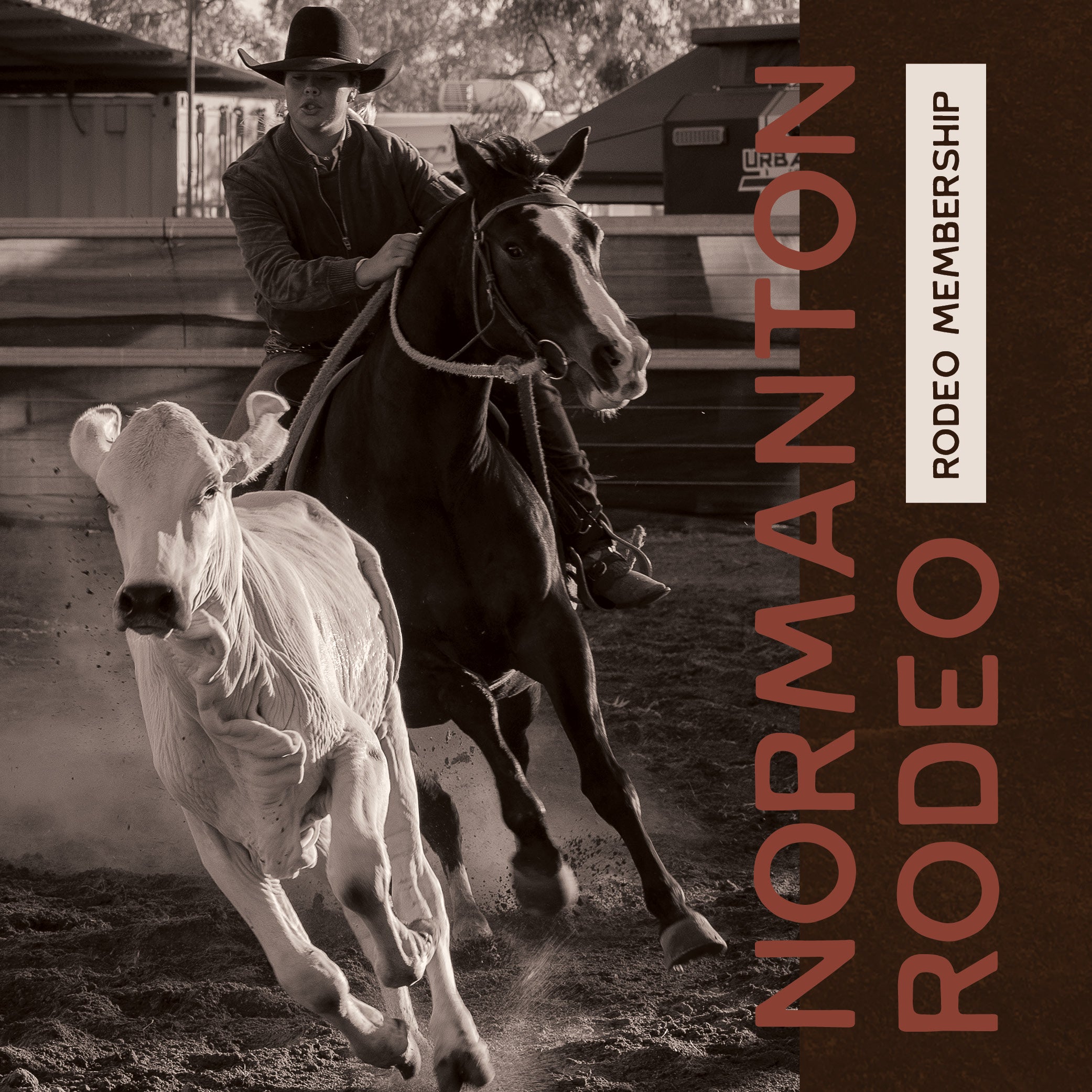 Normanton Rodeo – NQ Rodeo Hub