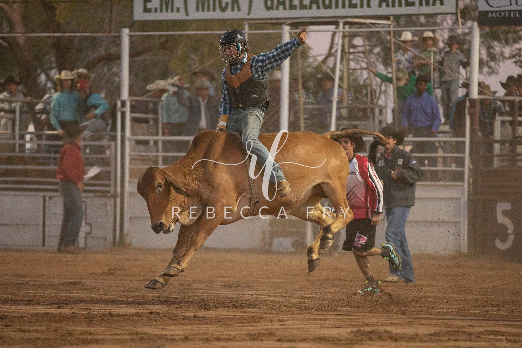 Normanton Rodeo – NQ Rodeo Hub