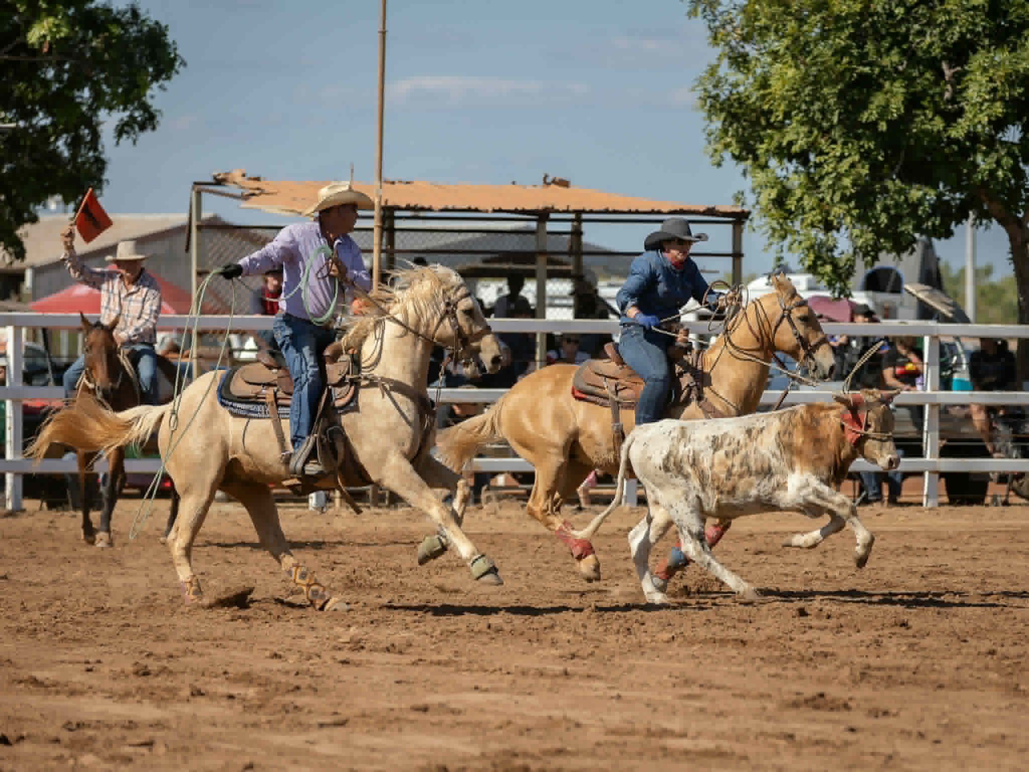 Gatton Rodeo Normanton Rodeo – NQ Rodeo Hub
